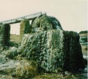 Water wheel at Cape Leeuwin